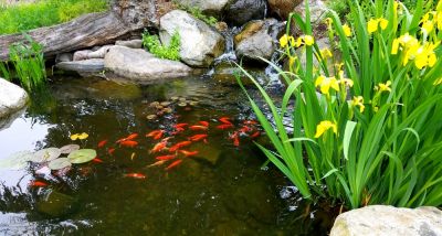 Maintains proper filtration