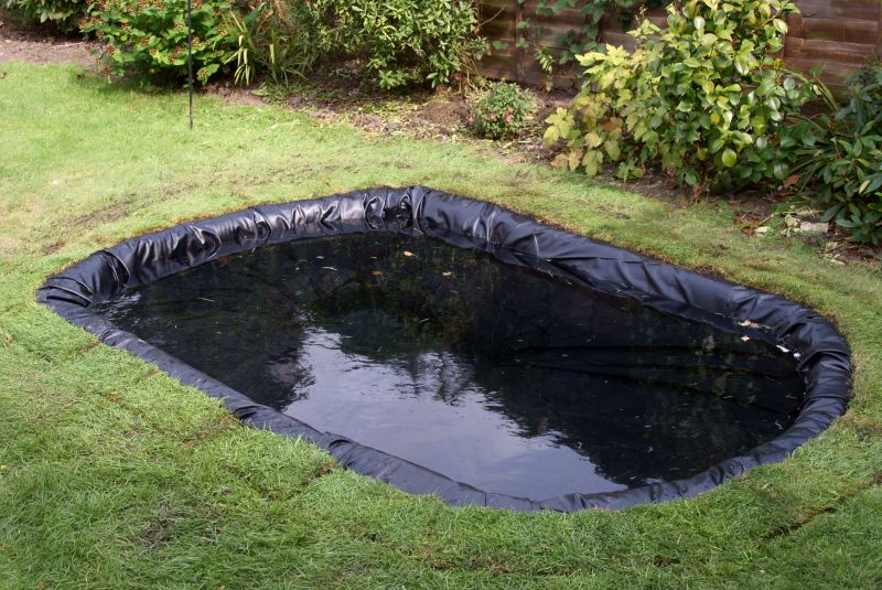 Pond Liner and Structure
