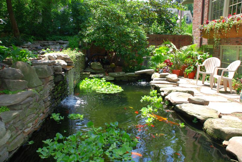 Fish Pond Installation in Ventura County, CA