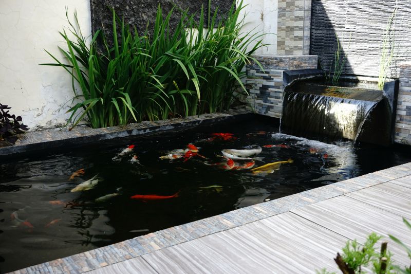 Koi Pond Cleaning