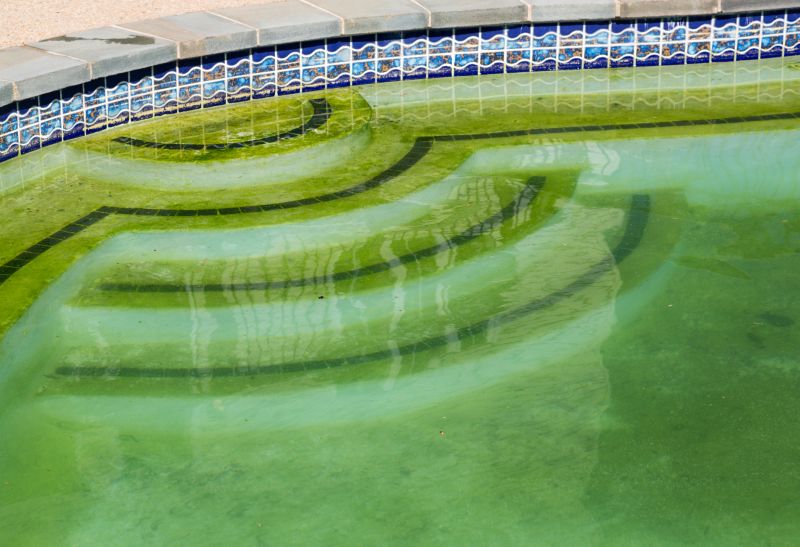 Algae Control Methods