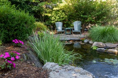 Seasonal Pond Maintenance