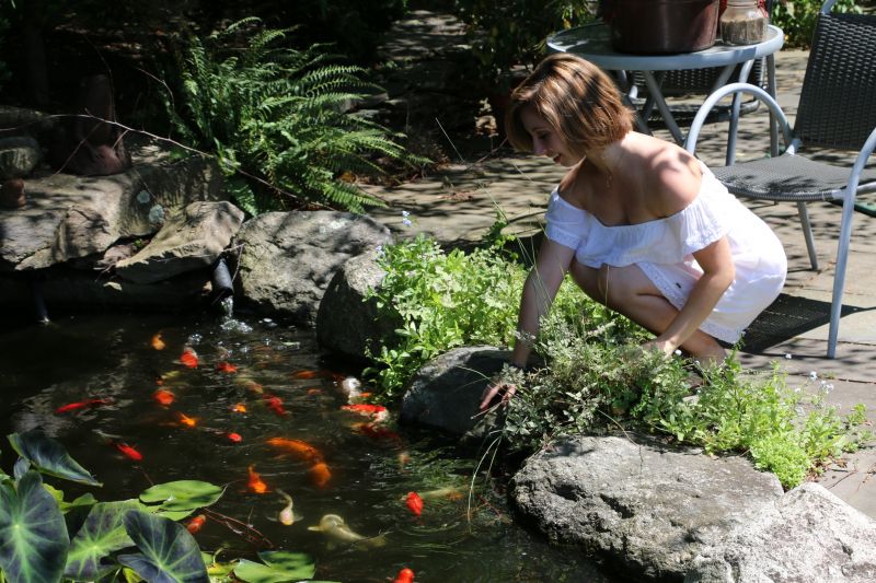 Koi Pond Construction in Honolulu, HI