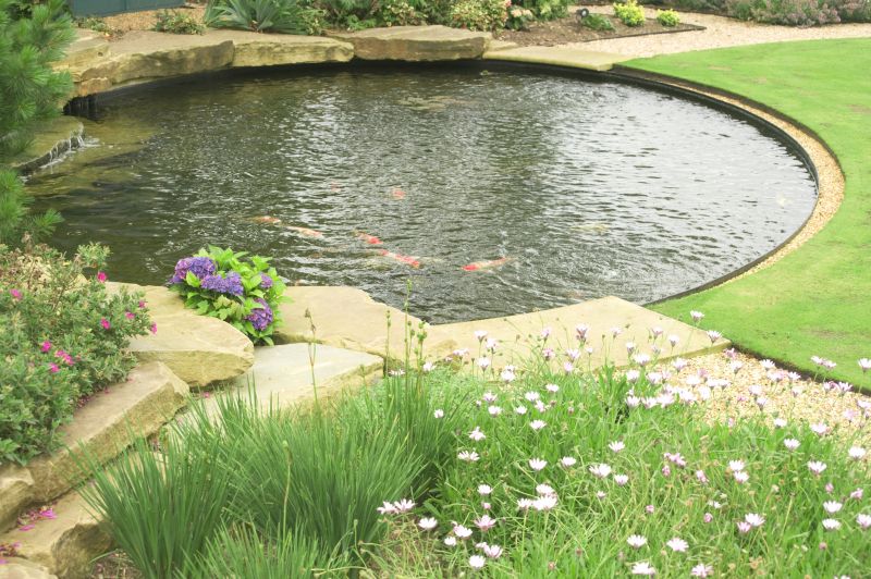 Pond Installation in Ventura County, CA