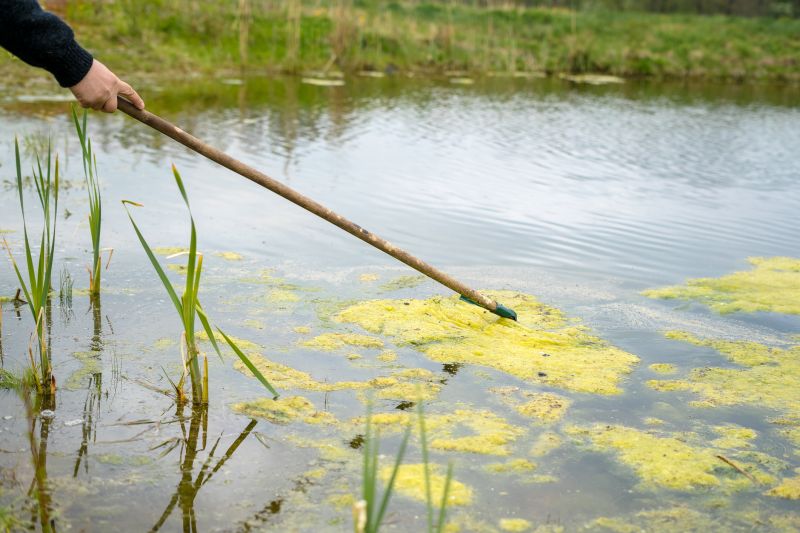 Pond Cleaning in Progress